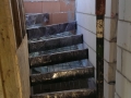 IMAG0186