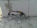IMAG0208