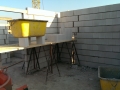IMAG0211