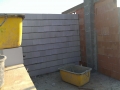 IMAG0212