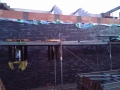 IMAG0245