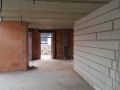 IMAG0264