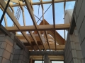 IMAG0265