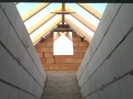 IMAG0268